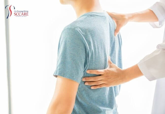 các vùng đau cơ lưng 
